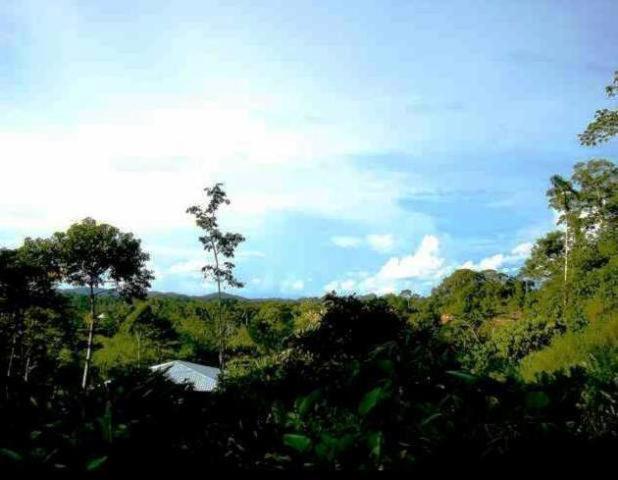 Huella Verde Rainforest Lodge Canelos Extérieur photo