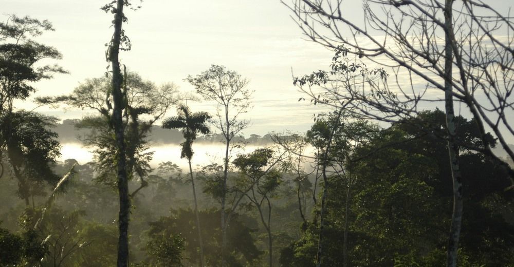 Huella Verde Rainforest Lodge Canelos Extérieur photo