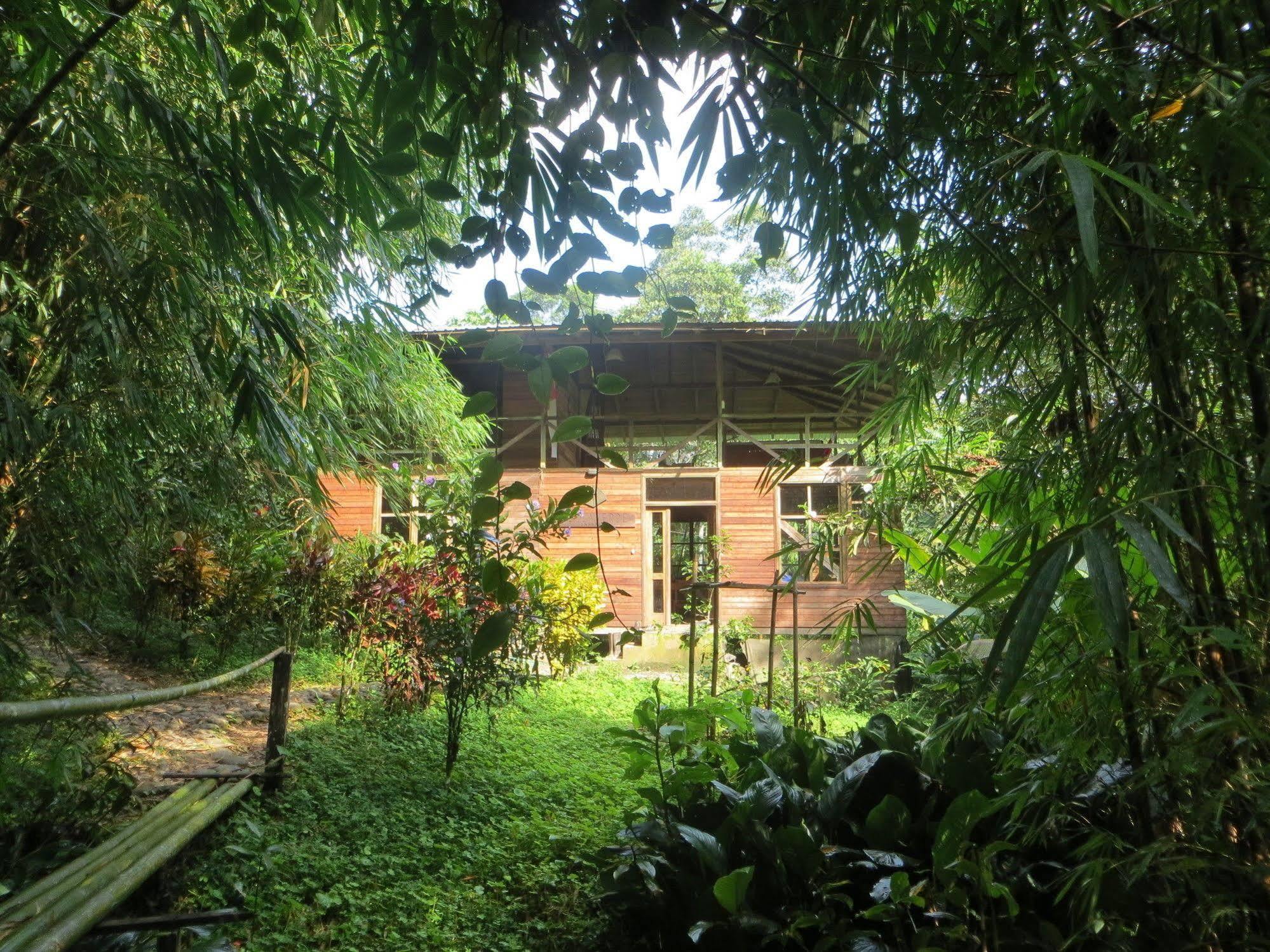 Huella Verde Rainforest Lodge Canelos Extérieur photo