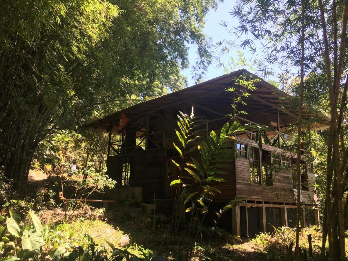 Huella Verde Rainforest Lodge Canelos Extérieur photo